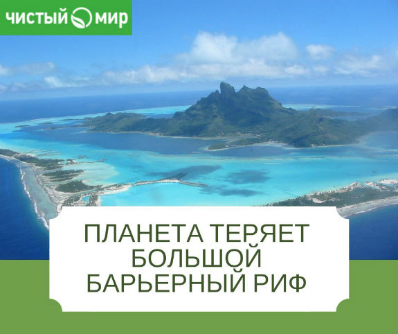 Планета теряет барьерный риф