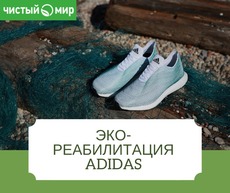 ��������������� Adidas