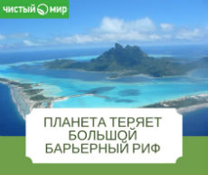 ������� ������ ��������� ���